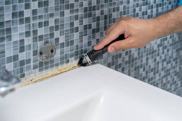  Valdese, NC Mold Removal Pros