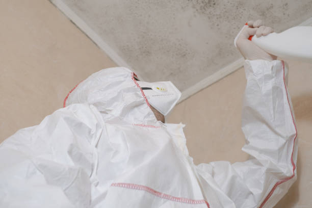 Best Attic Mold Remediation in Valdese, NC