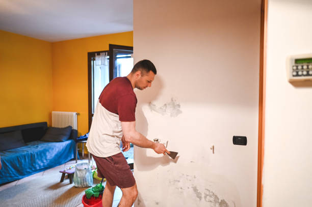 Best Localized Mold Remediation (e.g., coastal areas, humid climates) in Valdese, NC