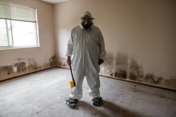 Best Post-Flood Mold Remediation in Valdese, NC